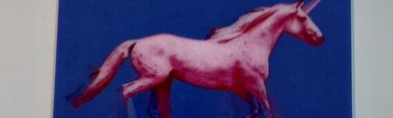 3D kaart dieren: Eenhoorn roze