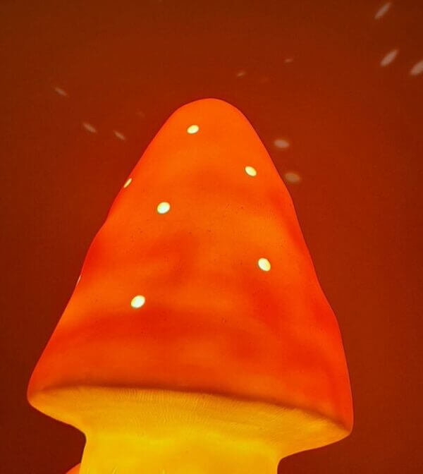 puntpaddenstoel oranje