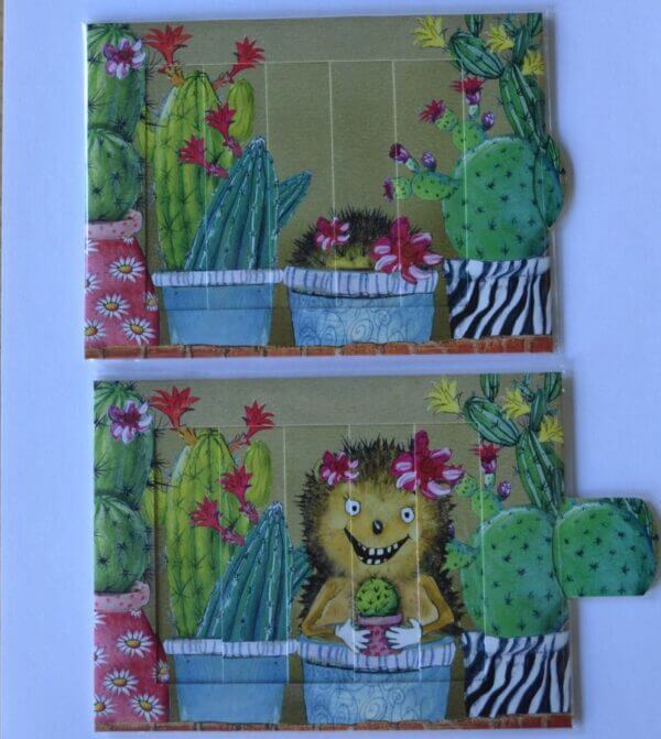 schuifkaart cactussen